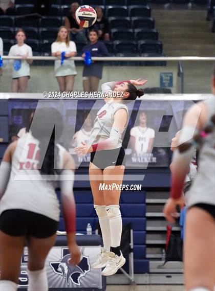 Thumbnail 2 in Weiss vs. Friendswood (UIL 5A Volleyball Division II  Region 3 Semifinal)  photogallery.