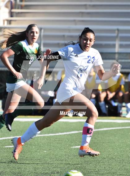 Thumbnail 3 in Socorro @ Los Alamos photogallery.