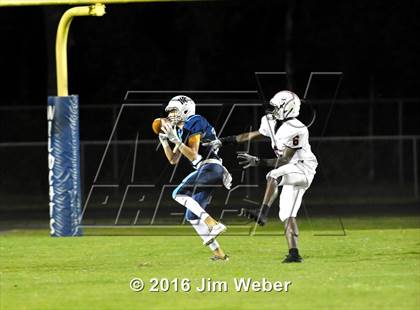 Thumbnail 3 in Pasco @ Wesley Chapel photogallery.