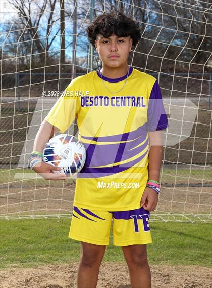 Thumbnail 3 in DeSoto Central (Team & Individual) photogallery.
