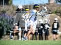 Photo from the gallery "Mission Bay @ Preuss UCSD"
