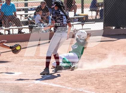 Thumbnail 1 in Miami vs. Ganado photogallery.