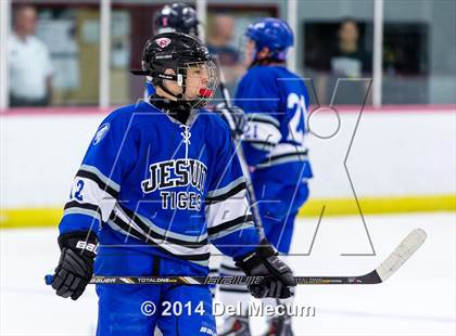 Thumbnail 1 in Lakewood Ranch vs. Jesuit photogallery.