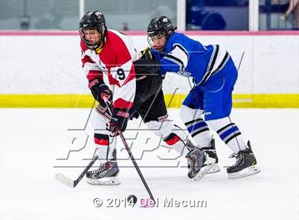 Thumbnail 3 in Lakewood Ranch vs. Jesuit photogallery.