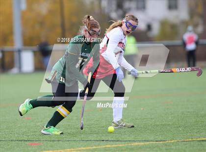 Thumbnail 3 in Afton vs. Lakeland (NYSPHSAA Class B Semifinal) photogallery.