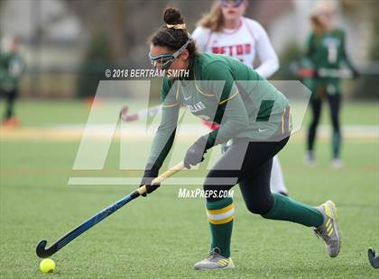 Thumbnail 2 in Afton vs. Lakeland (NYSPHSAA Class B Semifinal) photogallery.
