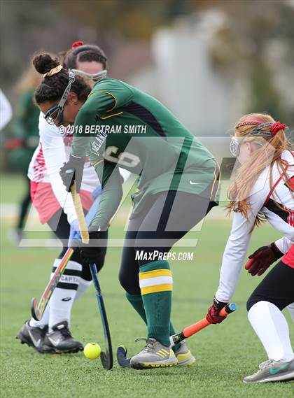 Thumbnail 1 in Afton vs. Lakeland (NYSPHSAA Class B Semifinal) photogallery.