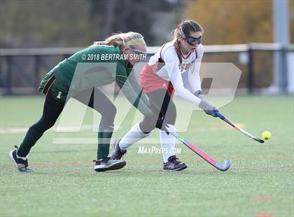Thumbnail 3 in Afton vs. Lakeland (NYSPHSAA Class B Semifinal) photogallery.