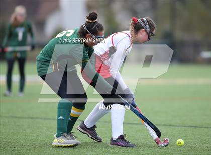 Thumbnail 3 in Afton vs. Lakeland (NYSPHSAA Class B Semifinal) photogallery.