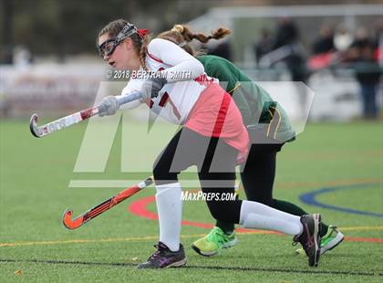 Thumbnail 1 in Afton vs. Lakeland (NYSPHSAA Class B Semifinal) photogallery.