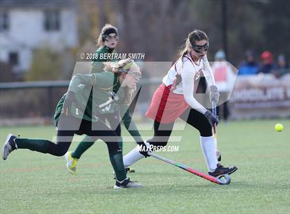 Thumbnail 1 in Afton vs. Lakeland (NYSPHSAA Class B Semifinal) photogallery.