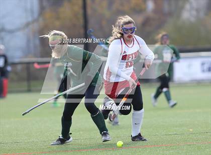 Thumbnail 1 in Afton vs. Lakeland (NYSPHSAA Class B Semifinal) photogallery.