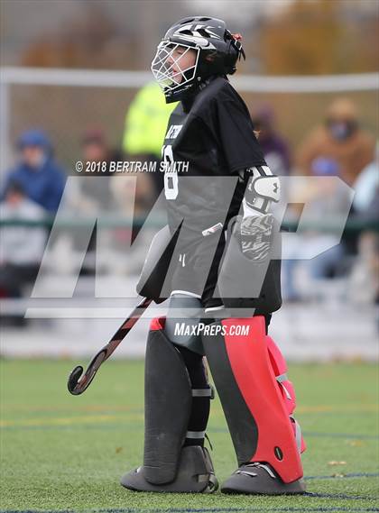 Thumbnail 3 in Afton vs. Lakeland (NYSPHSAA Class B Semifinal) photogallery.