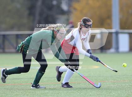 Thumbnail 1 in Afton vs. Lakeland (NYSPHSAA Class B Semifinal) photogallery.