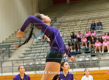 Thumbnail 3 in Stevens vs. Warren photogallery.