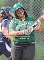 Photo from the gallery "Hartford Public @ Weaver"