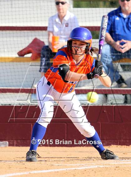 Thumbnail 1 in Bolles @ West Nassau photogallery.