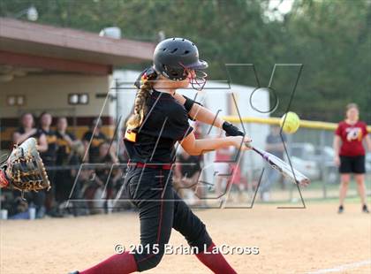 Thumbnail 1 in Bolles @ West Nassau photogallery.