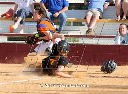 Thumbnail 2 in Bolles @ West Nassau photogallery.