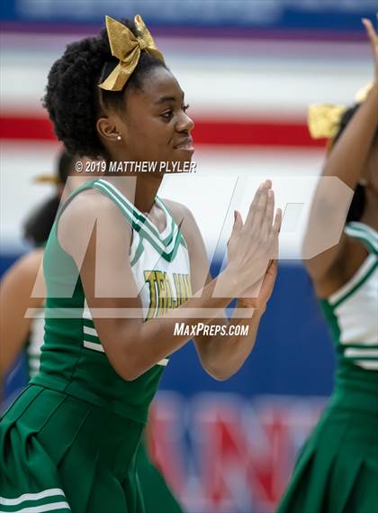 Thumbnail 3 in Pine Forest @ Terry Sanford photogallery.