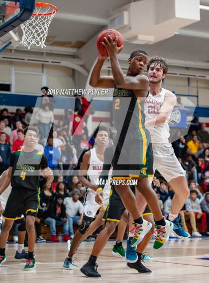 Thumbnail 2 in Pine Forest @ Terry Sanford photogallery.