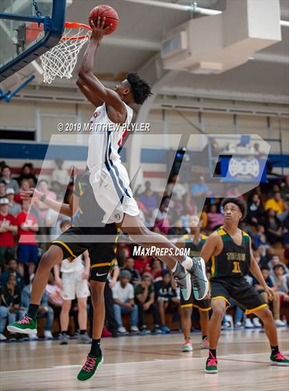 Thumbnail 1 in Pine Forest @ Terry Sanford photogallery.