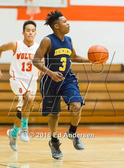 Thumbnail 1 in Inderkum @ Woodland photogallery.