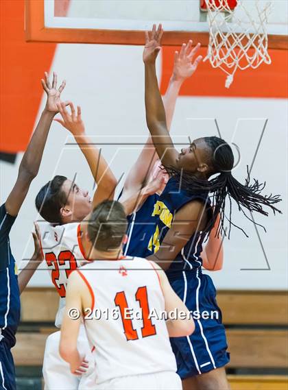 Thumbnail 3 in Inderkum @ Woodland photogallery.