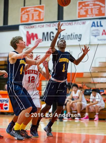 Thumbnail 3 in Inderkum @ Woodland photogallery.