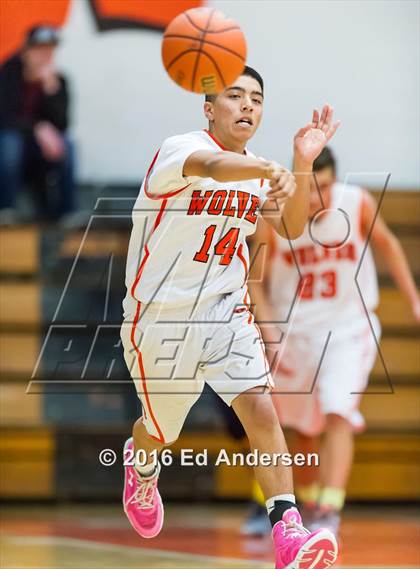 Thumbnail 3 in Inderkum @ Woodland photogallery.