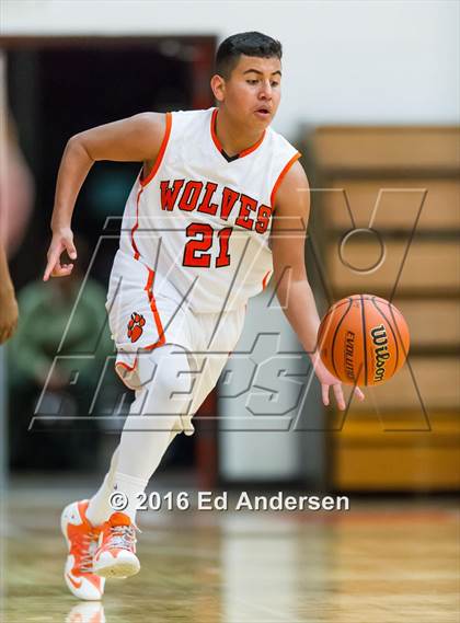 Thumbnail 1 in Inderkum @ Woodland photogallery.