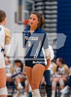 Photo from the gallery "Albemarle @ Midlothian (VHSL Class 5 Region C Final)"
