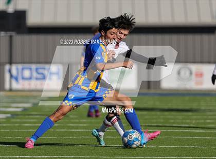 Thumbnail 1 in Gainesville vs. Sunnyvale (Sulphur Springs Elite 4A Tournament) photogallery.