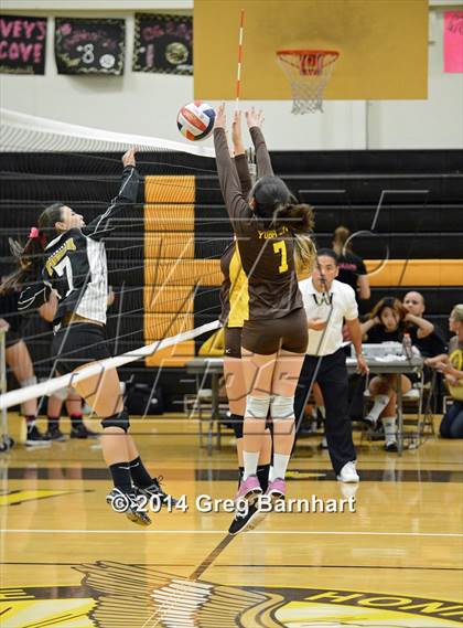 Thumbnail 2 in Pioneer @ Yuba City photogallery.