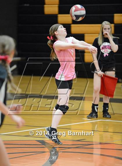 Thumbnail 2 in Pioneer @ Yuba City photogallery.