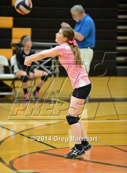 Thumbnail 2 in Pioneer @ Yuba City photogallery.