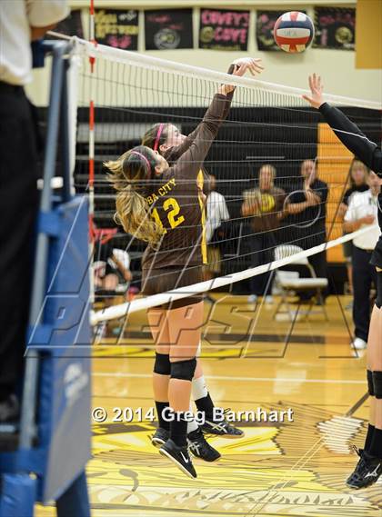 Thumbnail 2 in Pioneer @ Yuba City photogallery.