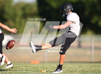 Thumbnail 1 in Hamilton @ Millsap photogallery.