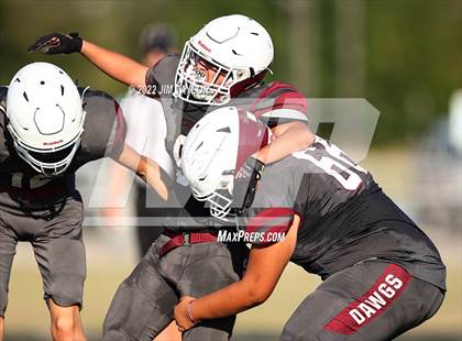 Thumbnail 2 in Hamilton @ Millsap photogallery.