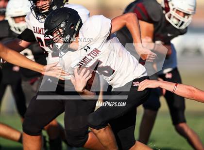 Thumbnail 3 in Hamilton @ Millsap photogallery.