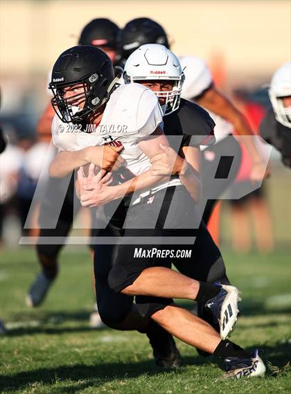 Thumbnail 1 in Hamilton @ Millsap photogallery.