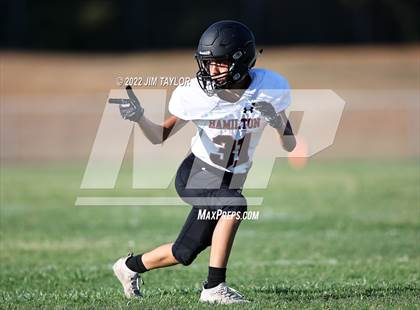 Thumbnail 2 in Hamilton @ Millsap photogallery.