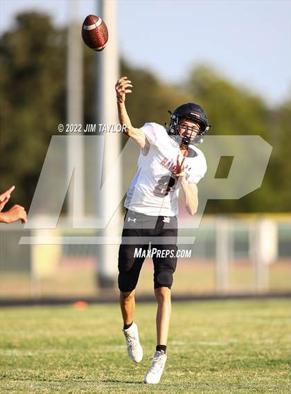 Thumbnail 1 in Hamilton @ Millsap photogallery.