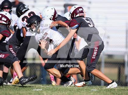 Thumbnail 1 in Hamilton @ Millsap photogallery.