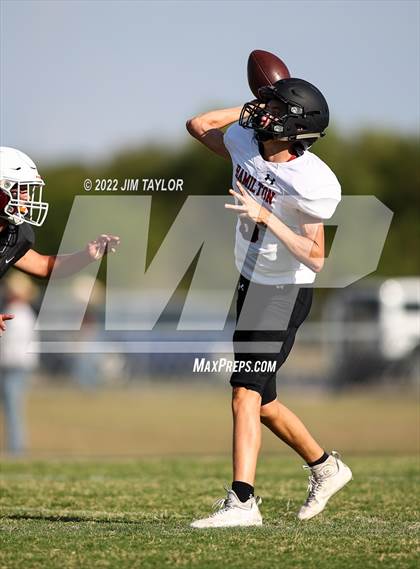 Thumbnail 2 in Hamilton @ Millsap photogallery.