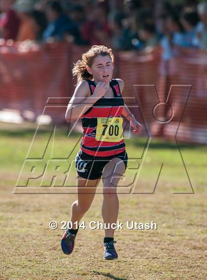 Thumbnail 2 in CIF State Cross Country Championships (D4 Girls Race) photogallery.
