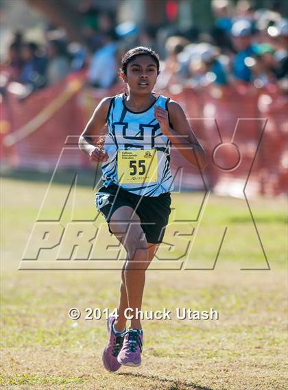 Thumbnail 2 in CIF State Cross Country Championships (D4 Girls Race) photogallery.