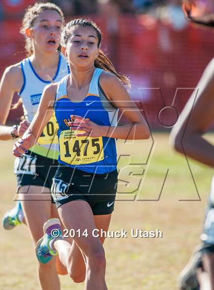 Thumbnail 3 in CIF State Cross Country Championships (D4 Girls Race) photogallery.