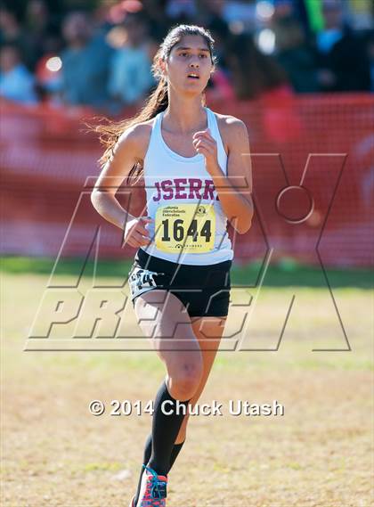 Thumbnail 3 in CIF State Cross Country Championships (D4 Girls Race) photogallery.