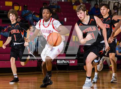 Thumbnail 3 in Hirschi vs. Petrolia (Fantasy of Lights) photogallery.